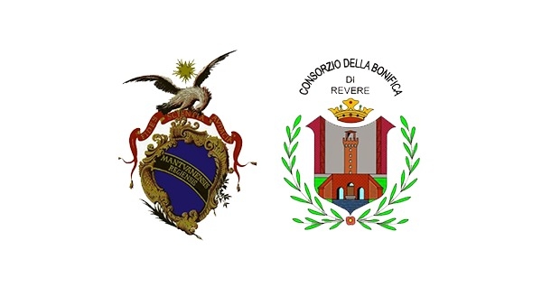 Consorzio