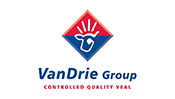 vandrie time lapse video cantiere